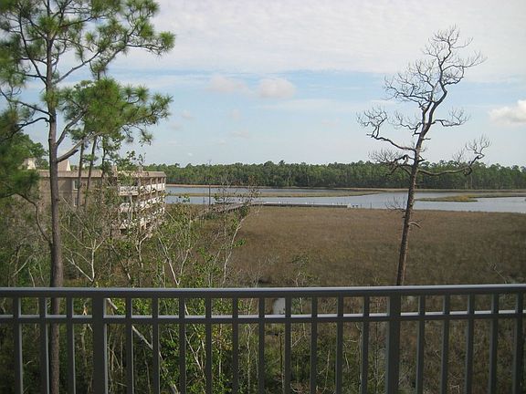 Bayou view