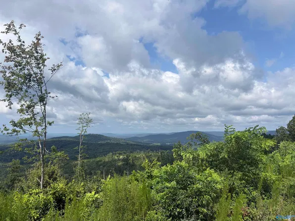 200AC/- Center Rd #35, Woodville, AL 35776