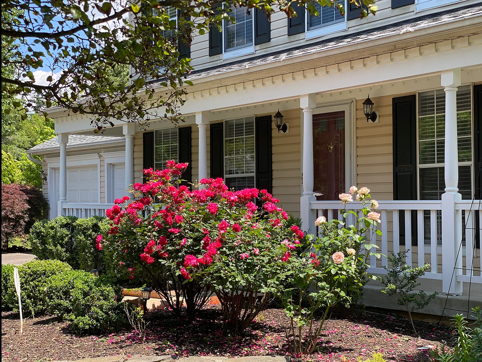 3 bed, 3.5 bath, 2667 sqft, $4,600 — Photo 3