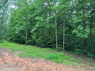 Lower Tuskeegee Rd, Robbinsville, NC, 28771