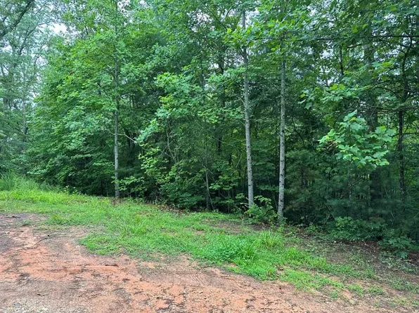 Lower Tuskeegee Rd, Robbinsville, NC 28771