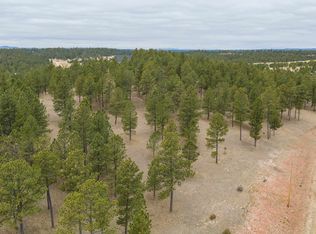 Gunsmoke Ln, Custer, SD 57730