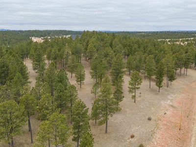Gunsmoke Ln, Custer, SD, 57730
