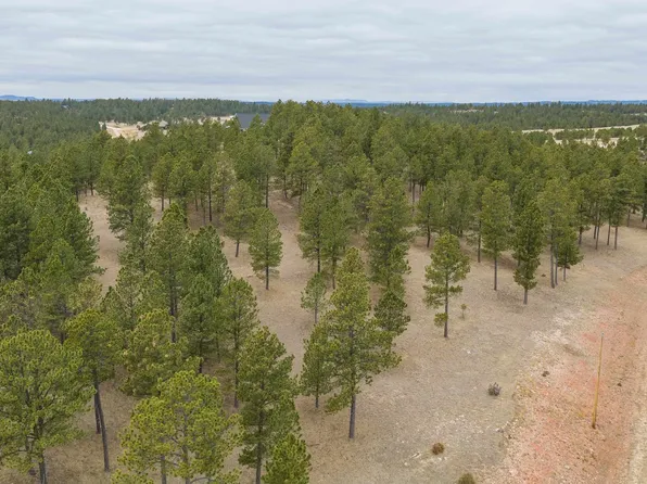 Gunsmoke Ln, Custer, SD 57730