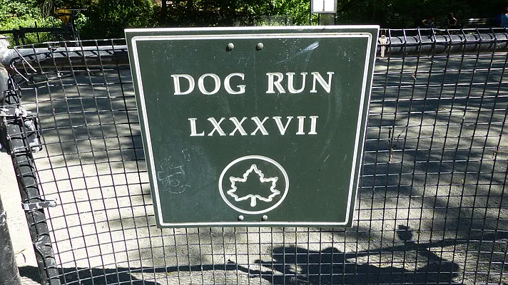 Rented by Immac Realty | media 16