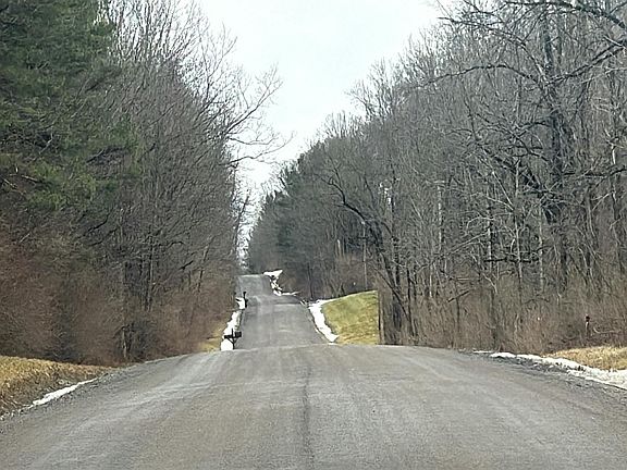 4th image of 6075 Lawrence Hill Rd