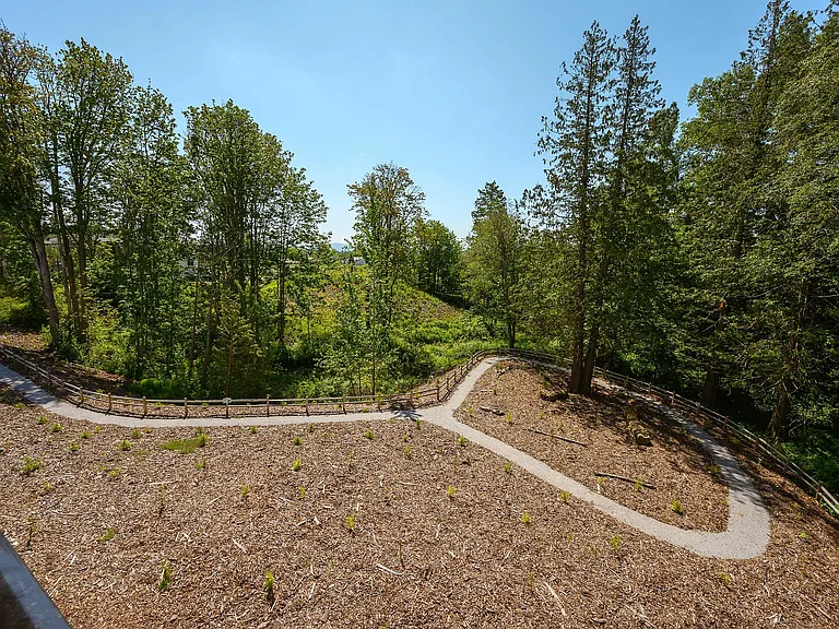 Walking trails along the creek and wetland views.