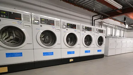 Rented by Michael Alvandi, LREB