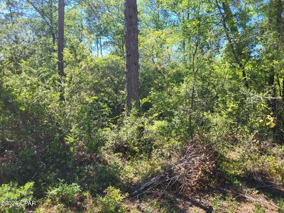 0 Carver Cir, Alford, FL, 32420