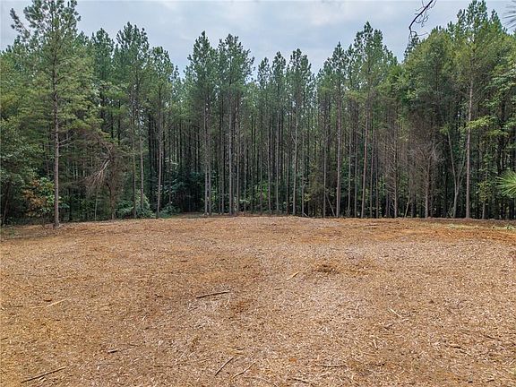 2nd image of 556 Iron Hill Rd #2