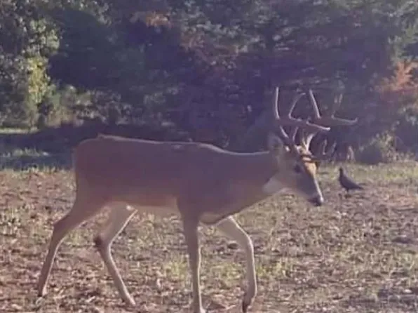 23444 Okay Rd, Tecumseh, OK 74873