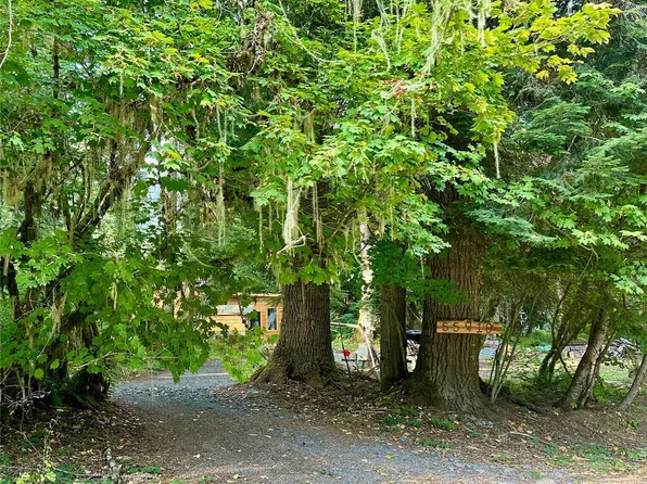55918 317th Avenue E, Ashford, WA 98304