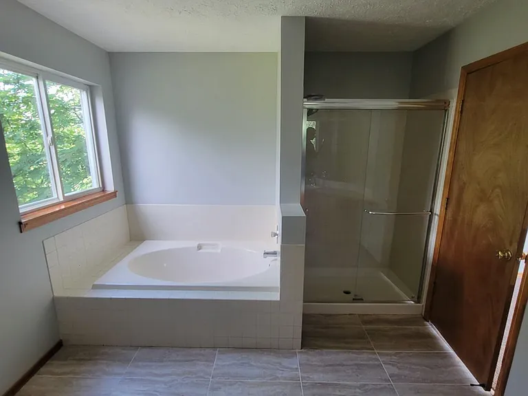 master bathroom soaker tub and walk-in shower