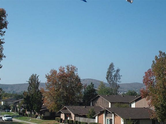 5th image of 9942 N Magnolia Ave N