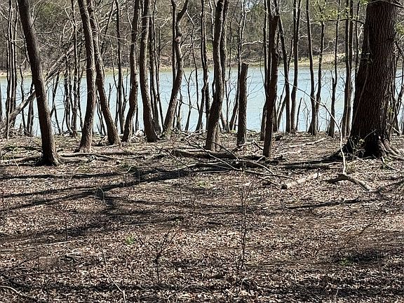 2nd image of Private Road 484