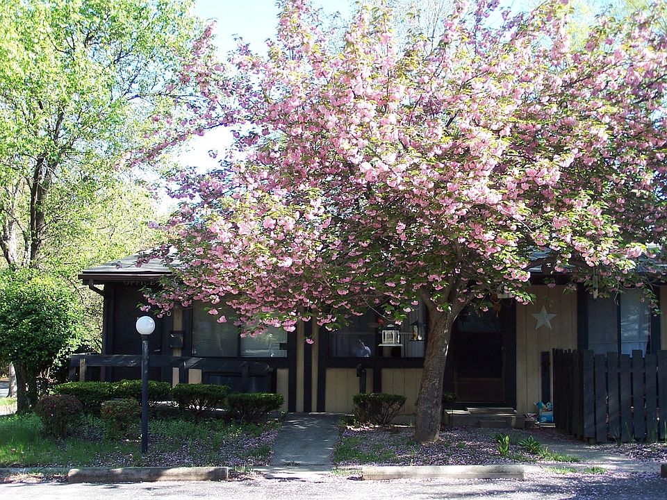 1st image of 8110 Glen Hollow Dr APT E