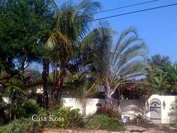 2nd image of 908 Coconut Dr
