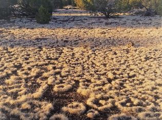 1231 E Indian Blanket Rd, Williams, AZ 86046