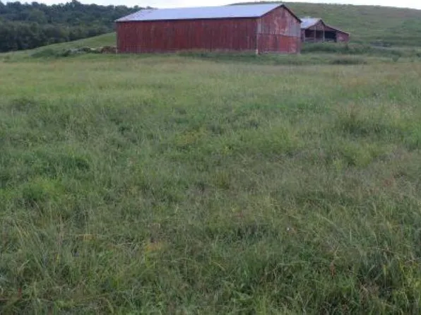 1000 Slaughter Rd, Benton, KY 42025