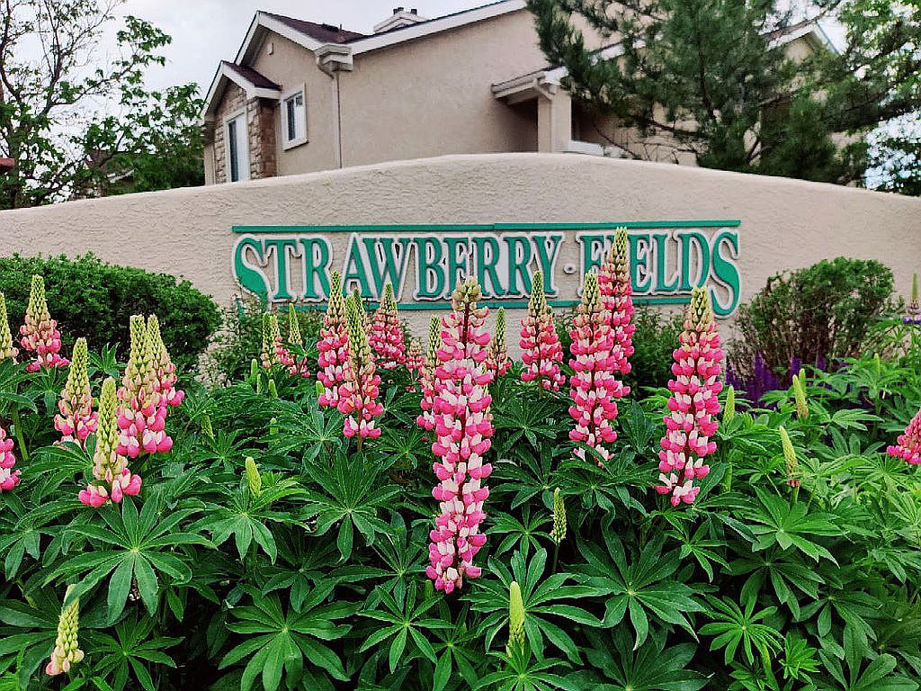 3695 Strawberry Field Grv APT B, Colorado Springs, CO 80906 Zillow