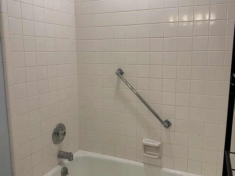master bathroom tub/shower