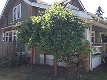 2nd image of 614 2nd Ave NE