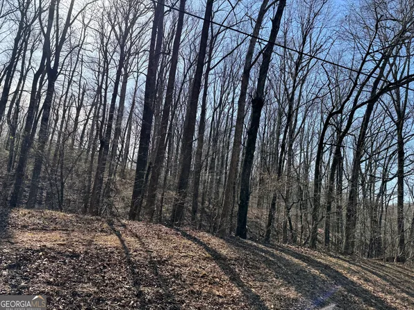 0 Wall Rd, Winder, GA 30680