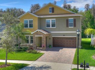 19356 Paddock View Dr, Tampa, FL 33647