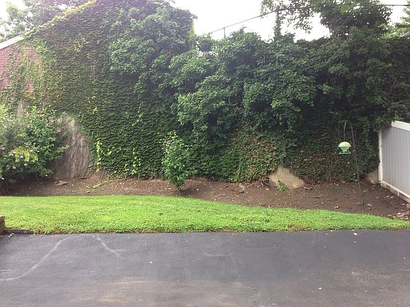 Backyard 1