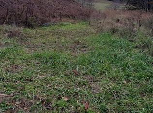 2006 Brushy Creek Rd, Blaine, KY 41124