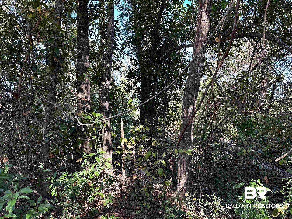 2nd image of 0 Cotton Stocking Ln