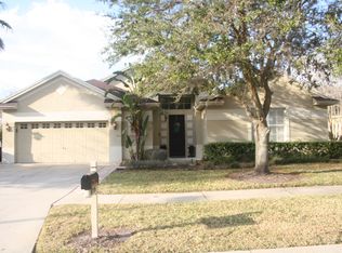 19204 Wind Dancer Street, Lutz, FL 33558