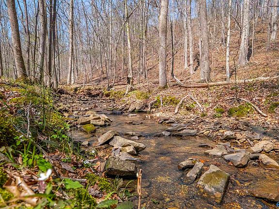 2nd image of Duck Springs Rd