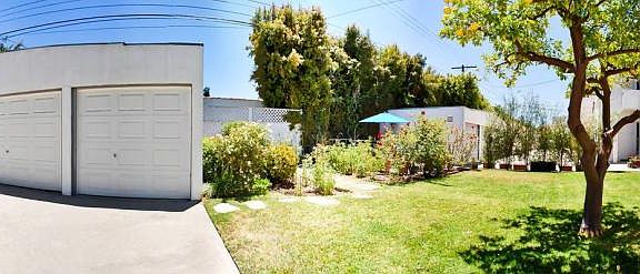 Back yard