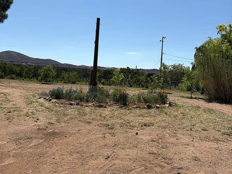 yard