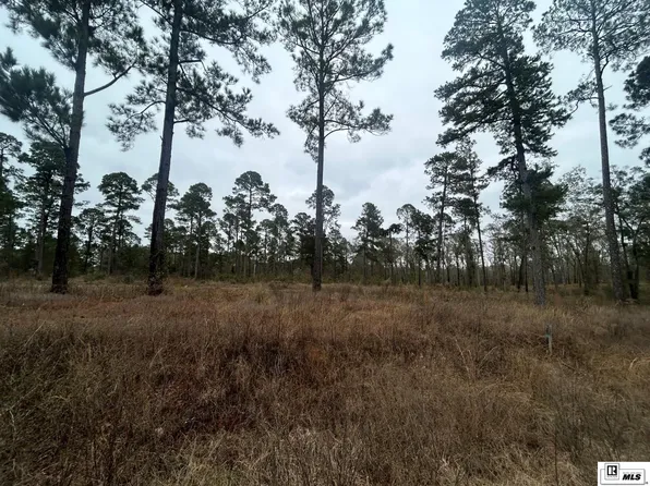 16 Caples Rd, West Monroe, LA 71292