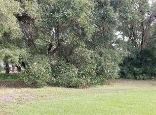 14209 Shady Stream Dr, Dover, FL 33527