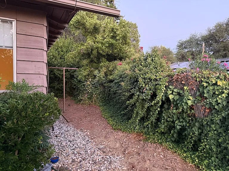 135 Hyatt Ln — Photo 8