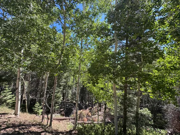 Lot 721 Santo Domingo, Angel Fire, NM 87710