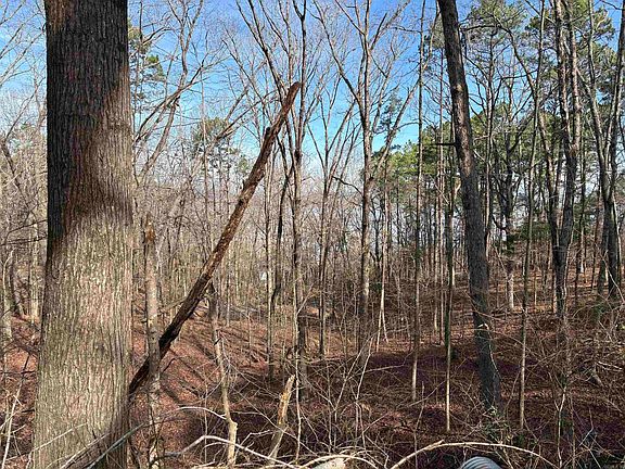 5th image of (Undisclosed Address)