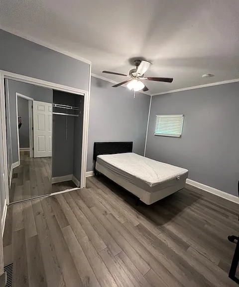 215 Cherry St #11 — Photo 10