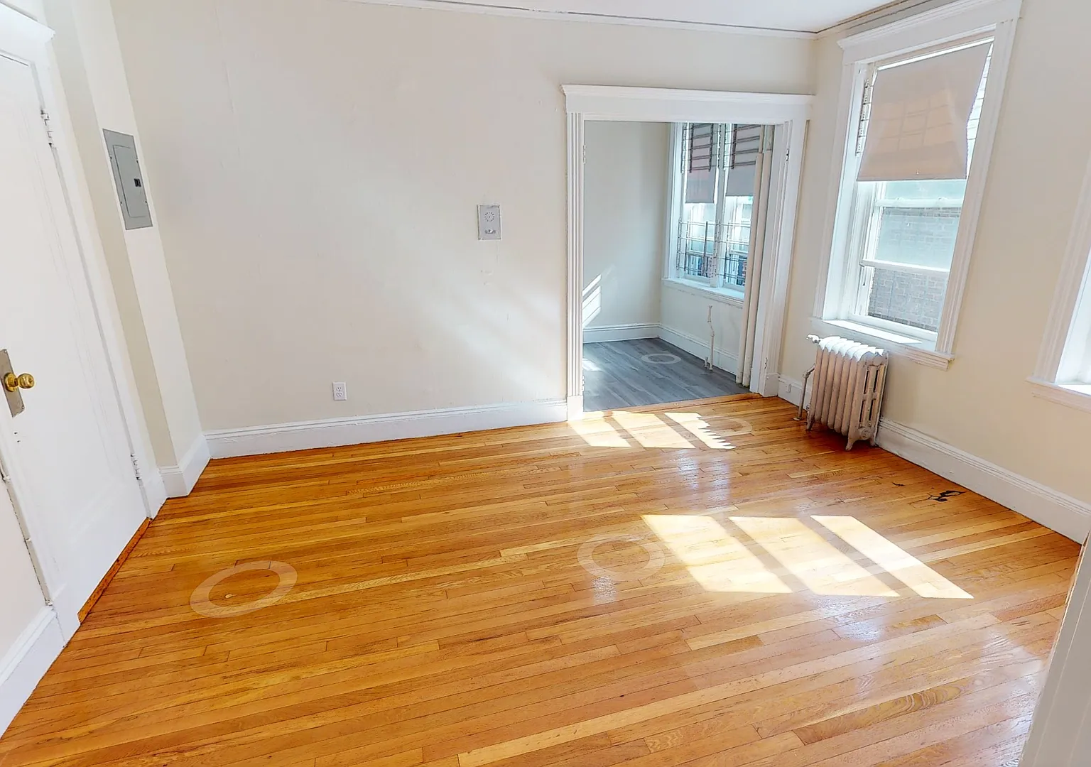 10/9! No Fee! Sunny Studio apartment near Longwood, Kenmore — Photo 4