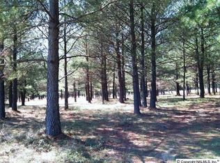 1370 Kirby Bridge Rd, Danville, AL 35619