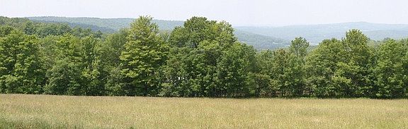 5th image of 6476 County Highway 16