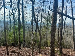 31 Blue Horizon Dr, Blue Ridge, GA 30513