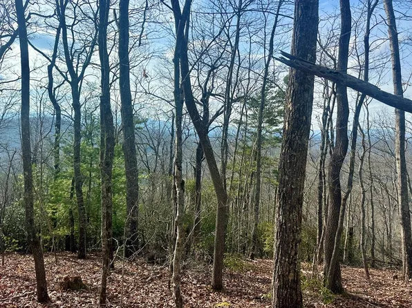 31 Blue Horizon Dr, Blue Ridge, GA 30513