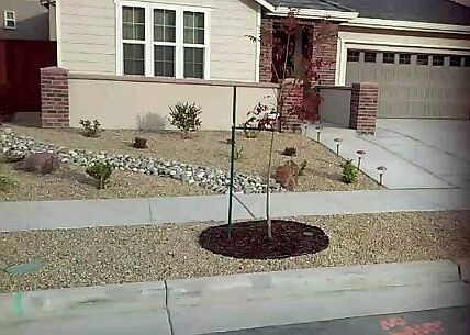 front yard