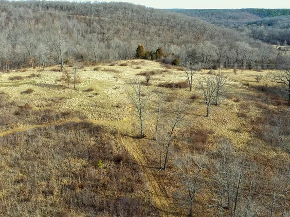 10331 Hopkins Rd, Potosi, MO 63664