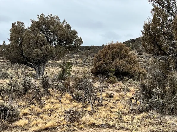 0 Nine #T75-u, Tierra Amarilla, NM 87575