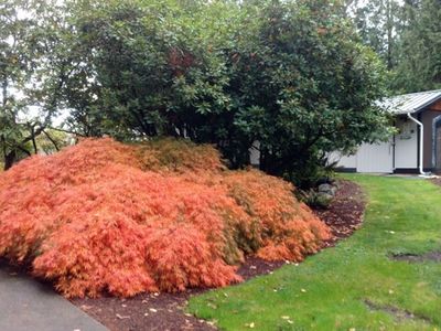  Federal Way, WA 98001